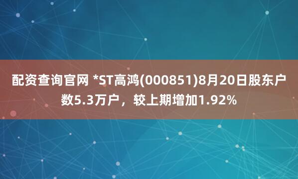 配资查询官网 *ST高鸿(000851)8月20日股东户数5.3万户,较上期增加1.92%